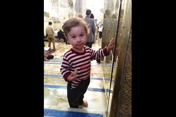 محمد علی  