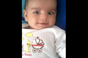 امیرمحمد 