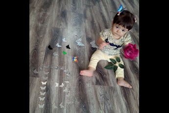 ساحل ناصری 