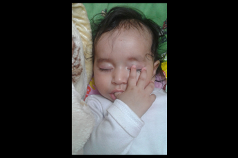 پریسا 
