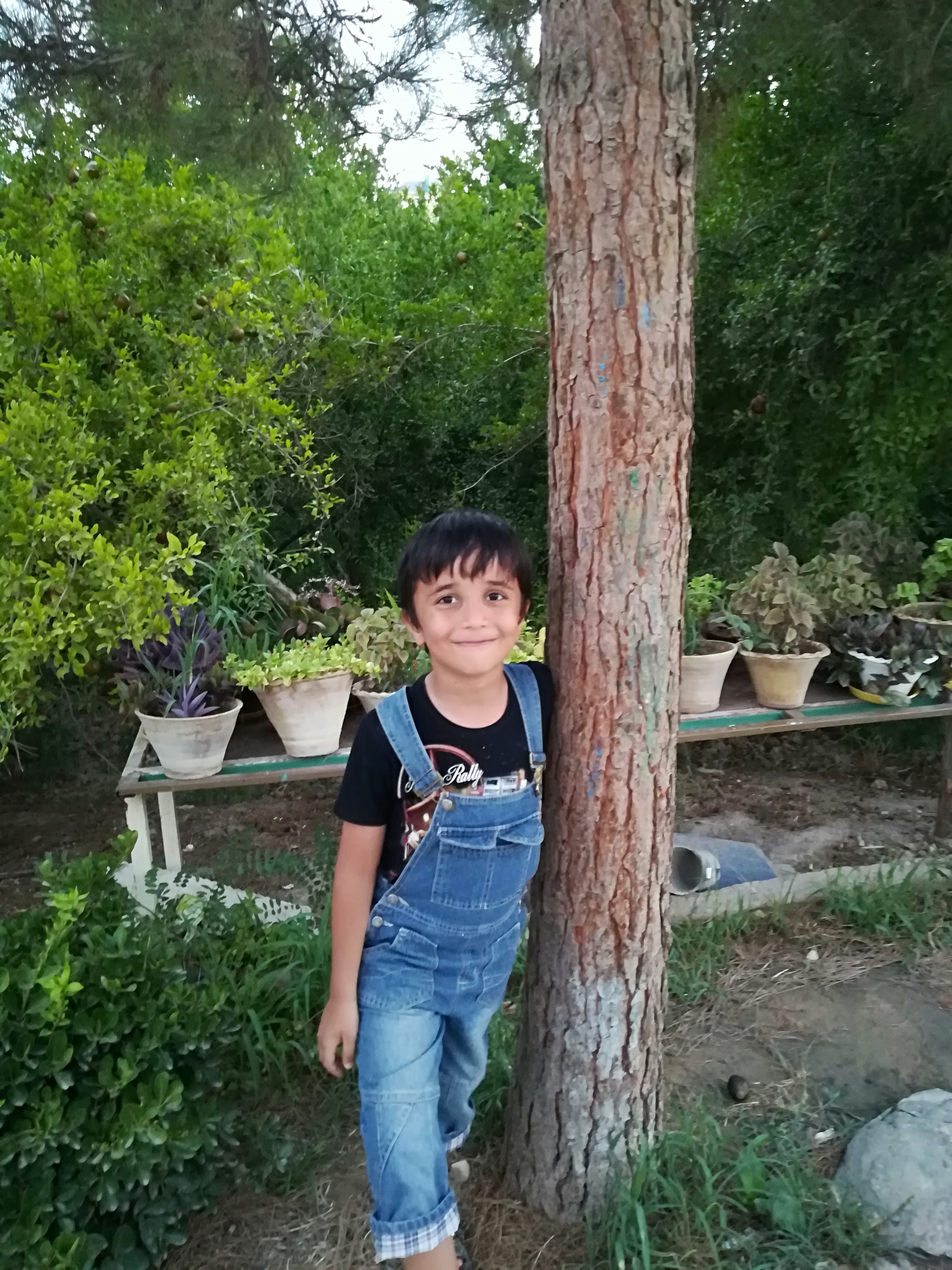 امیر مامان