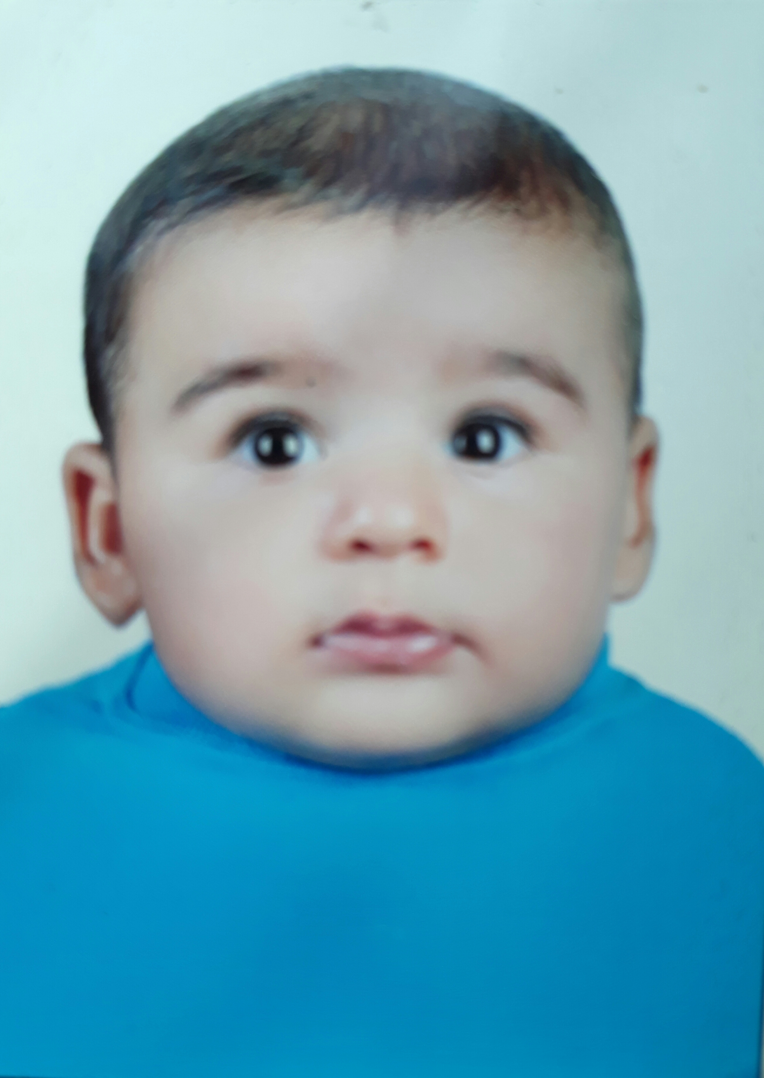 حامد