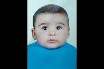 حامد 