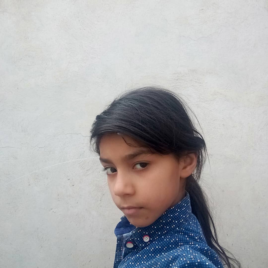 کیمی
