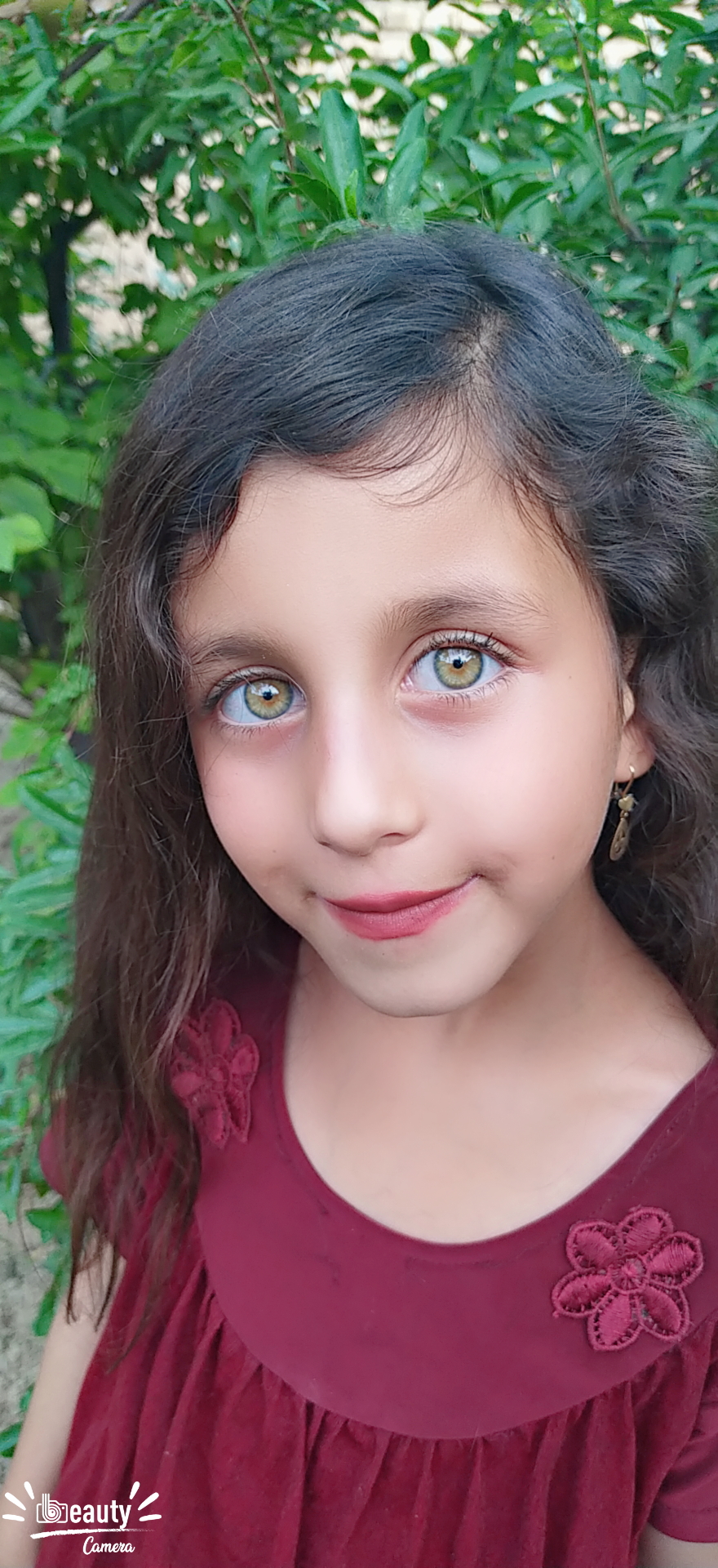 آیسودا