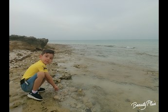 پویان علیزاده 