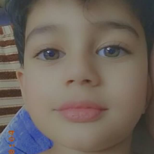 پوریا تیموری