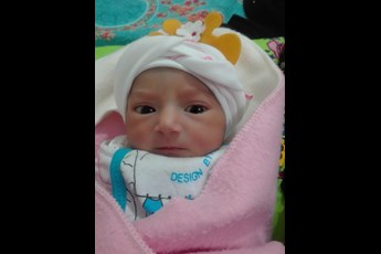 سوگل زود رفتی 