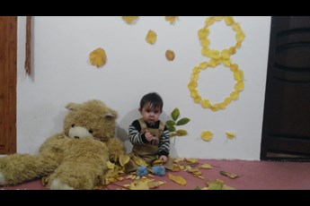 طاها  