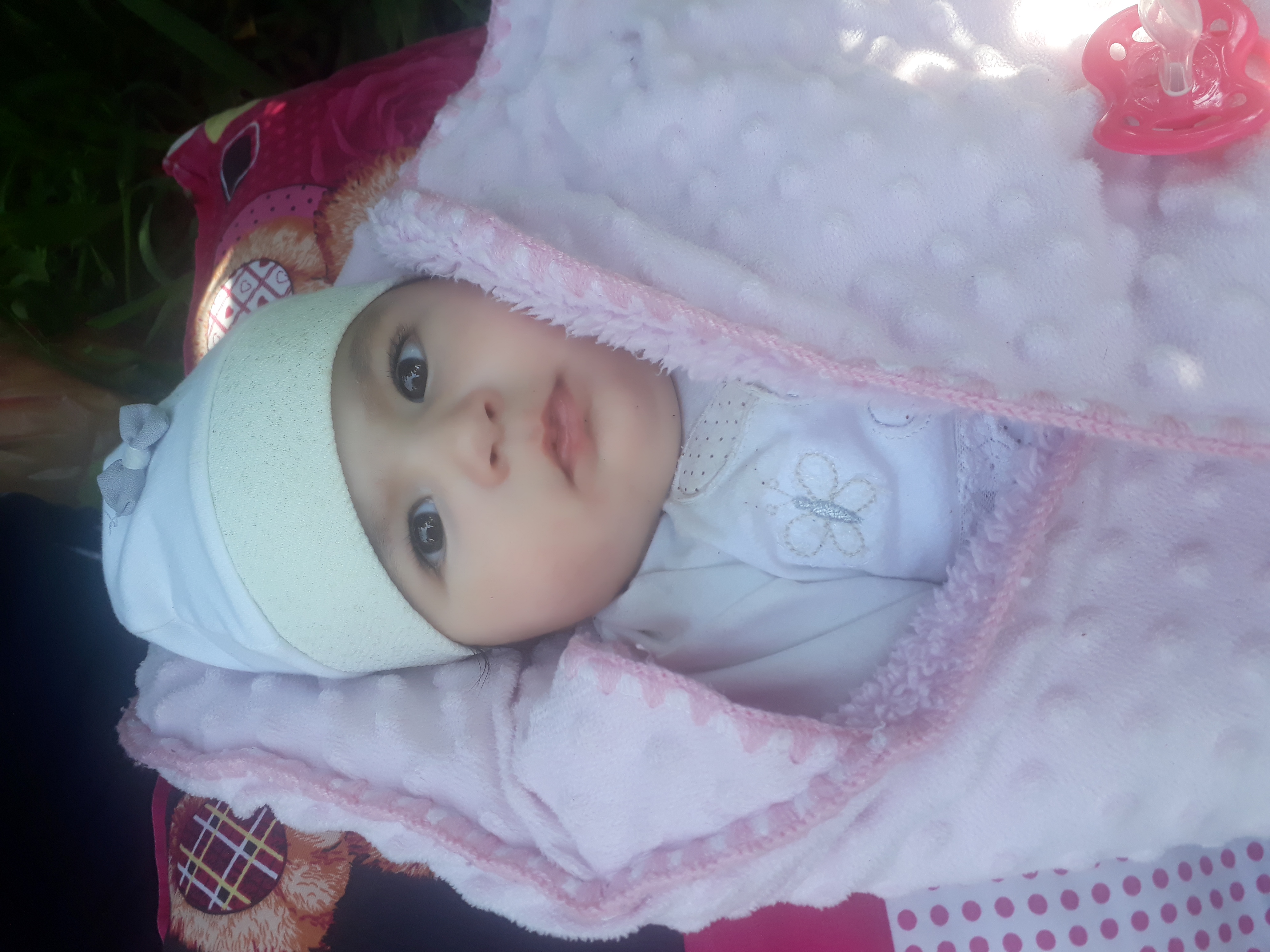 Saha
