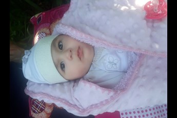 Saha 