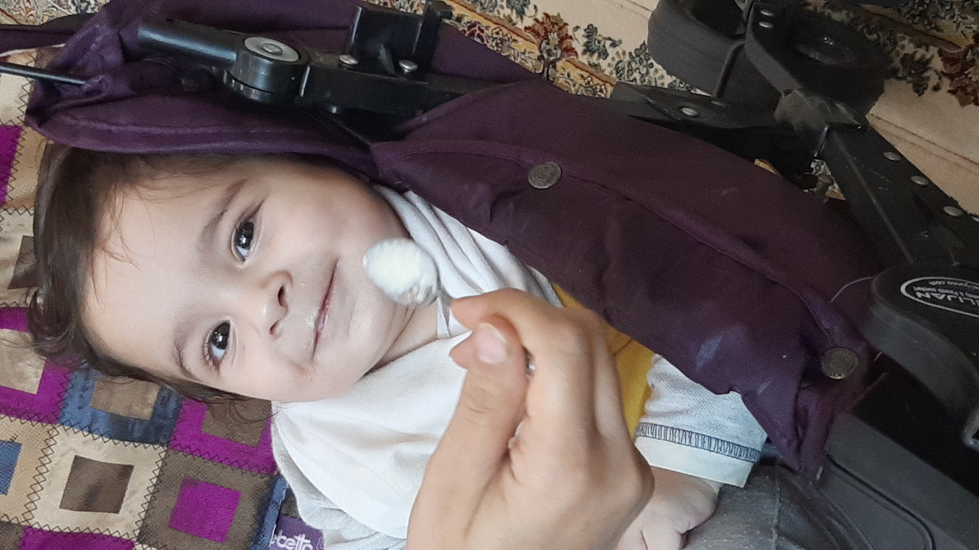رادین