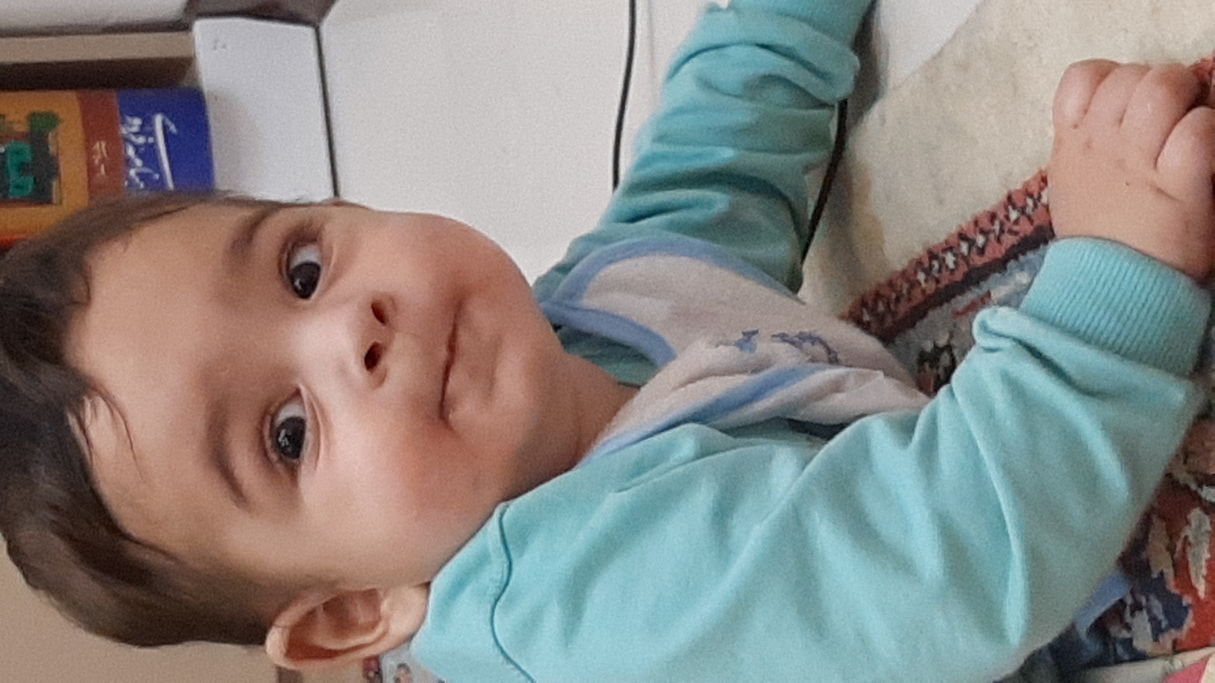 رادین