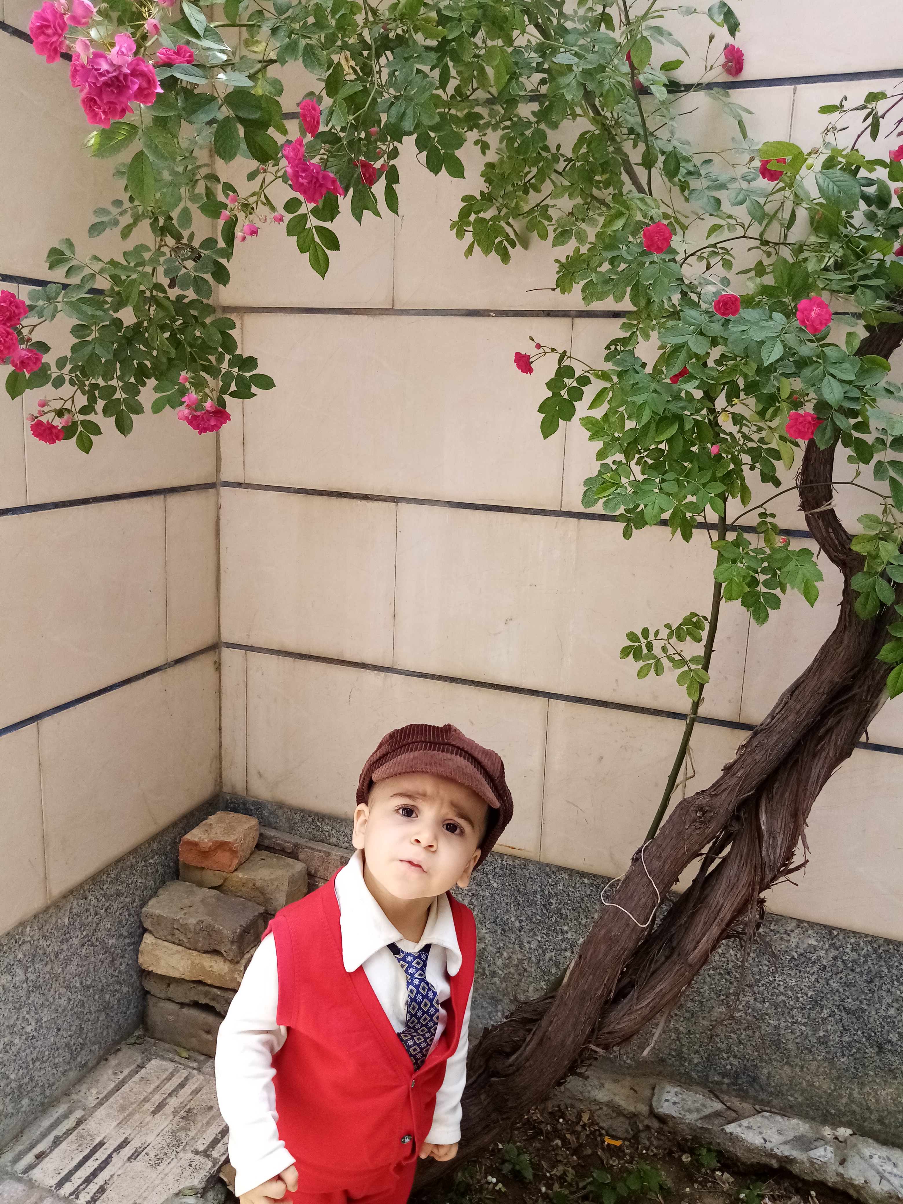 مملی