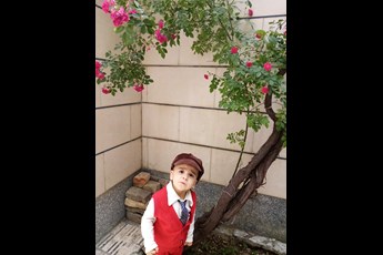 مملی 