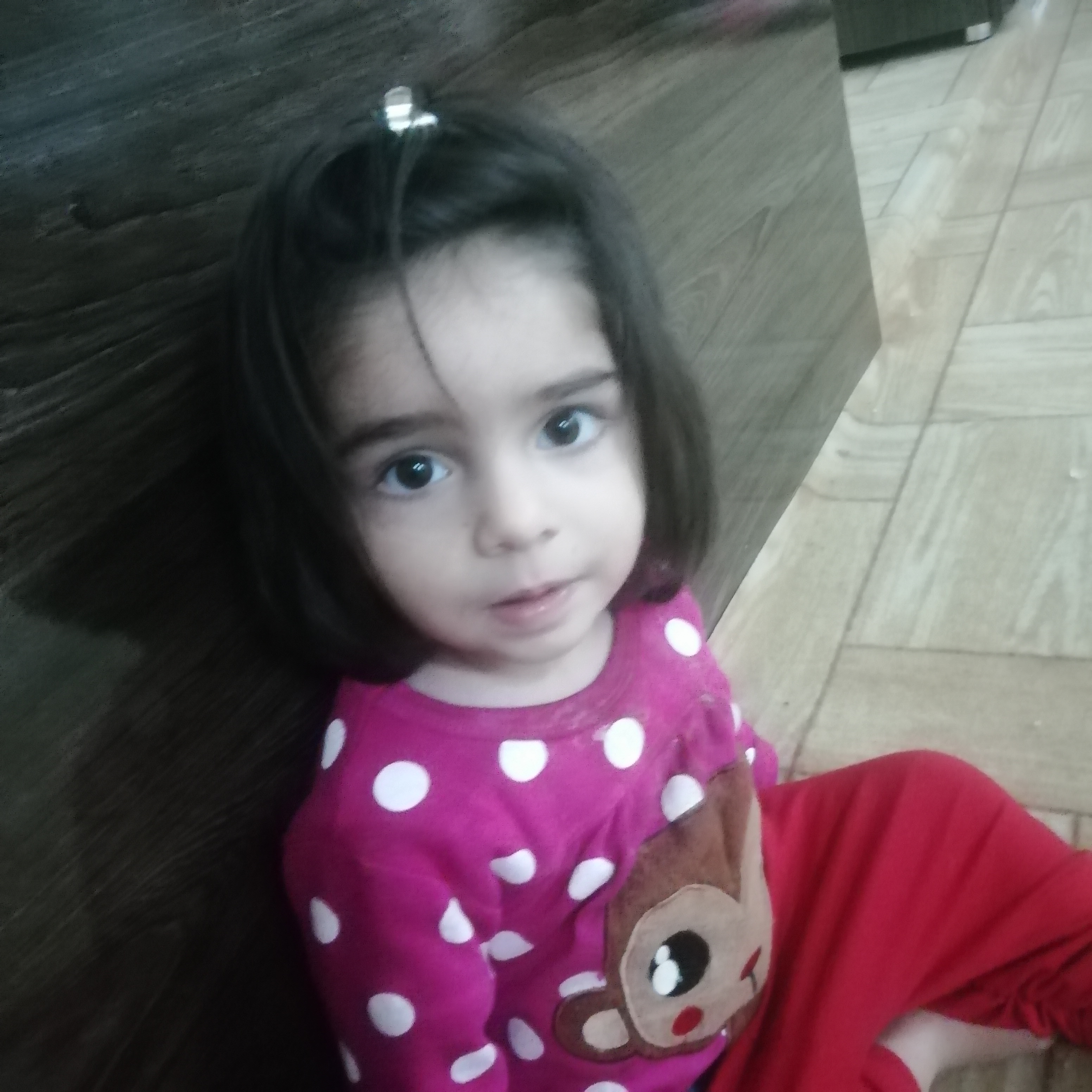 زینب 