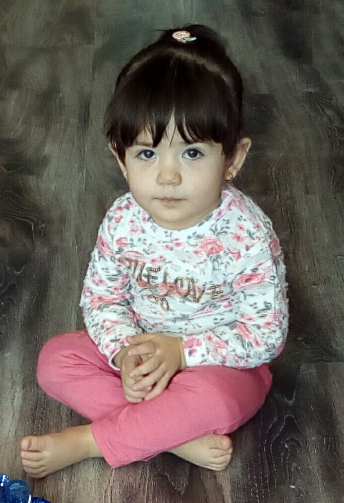 ساحل ناصری