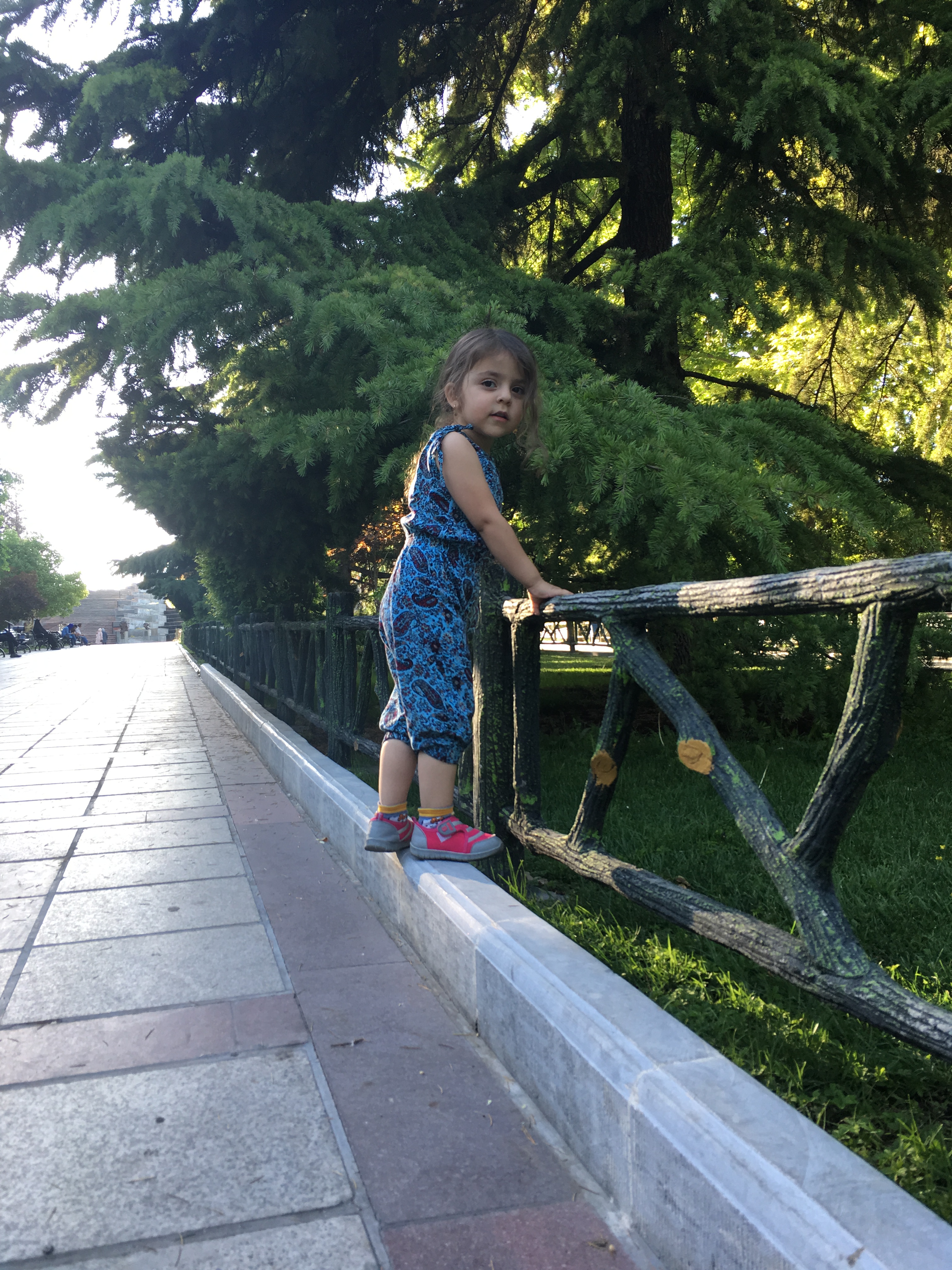 حسنا خانم - پارک ملت 