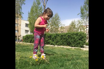 قاصدک فوت کردن  