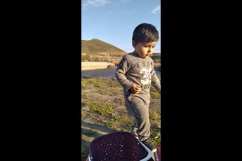 محمد یاسین ❤️ 