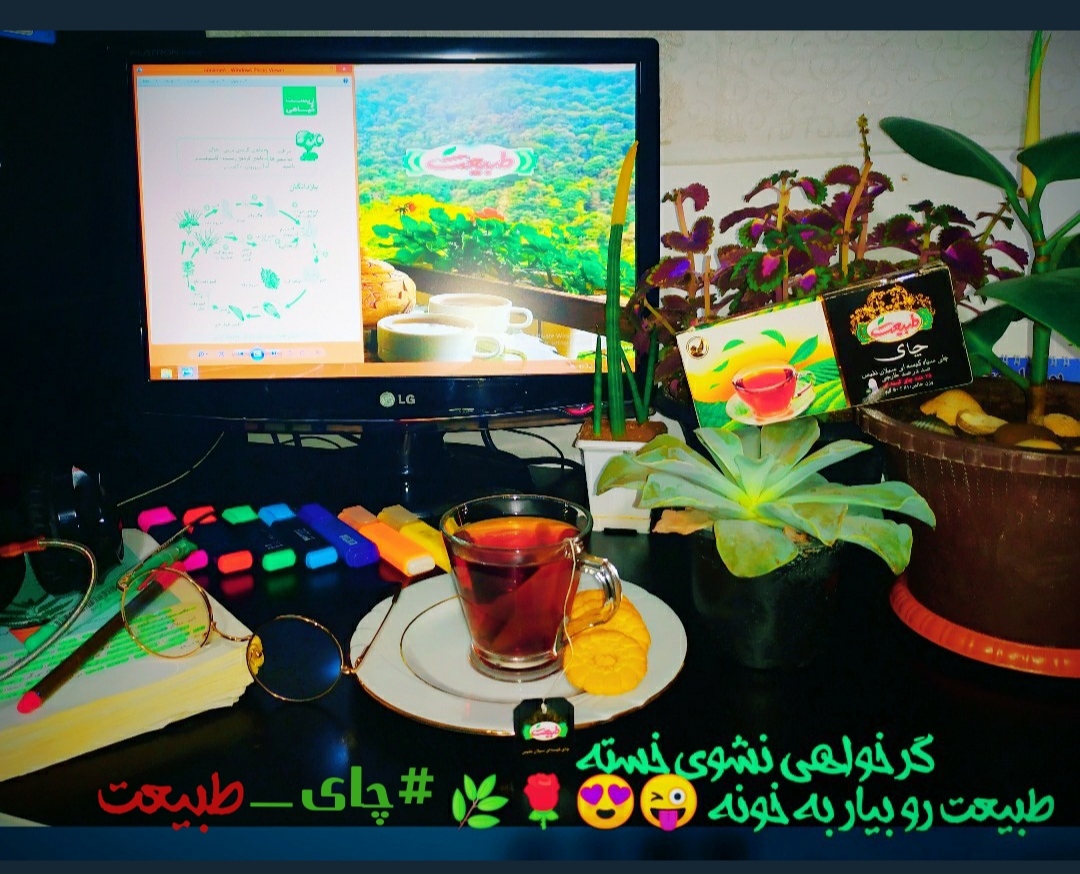 چای طبیعت ترنجی 😍😍😍🌿