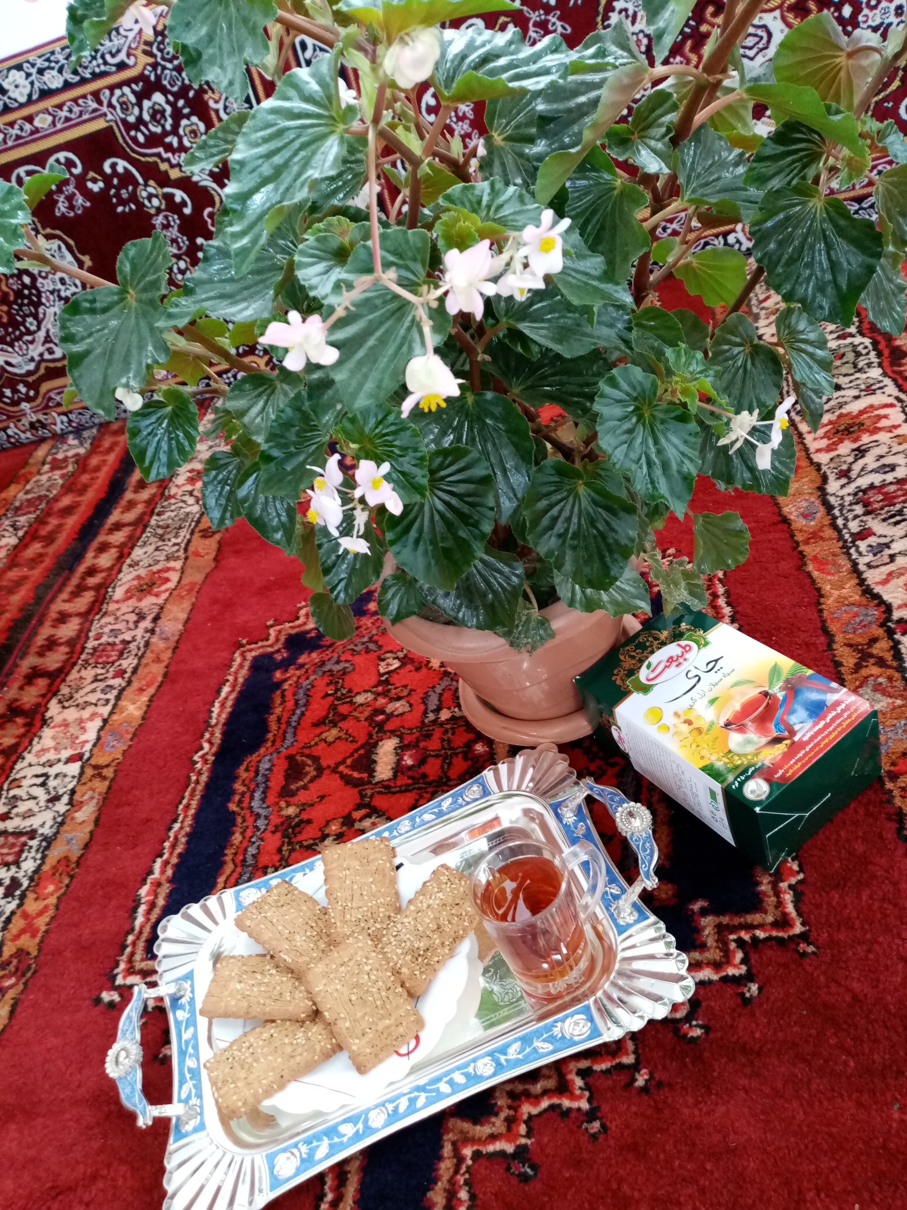 یاسیf