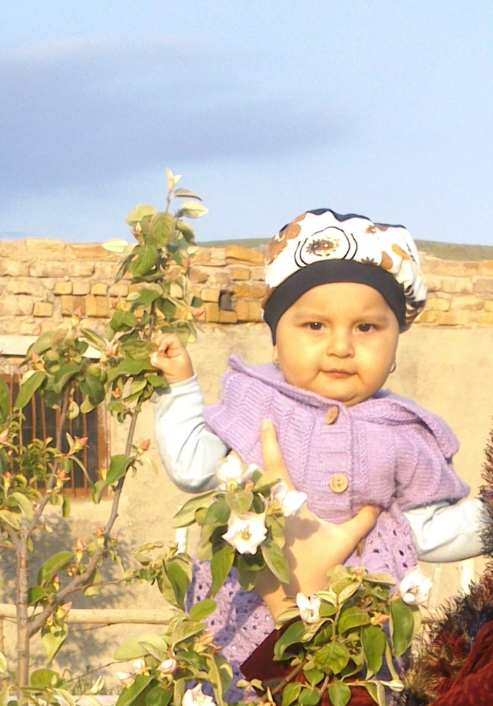 شادی اسکندری