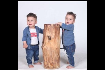 اروین و ارمین 