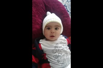 طاها 