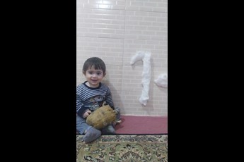 طاها  