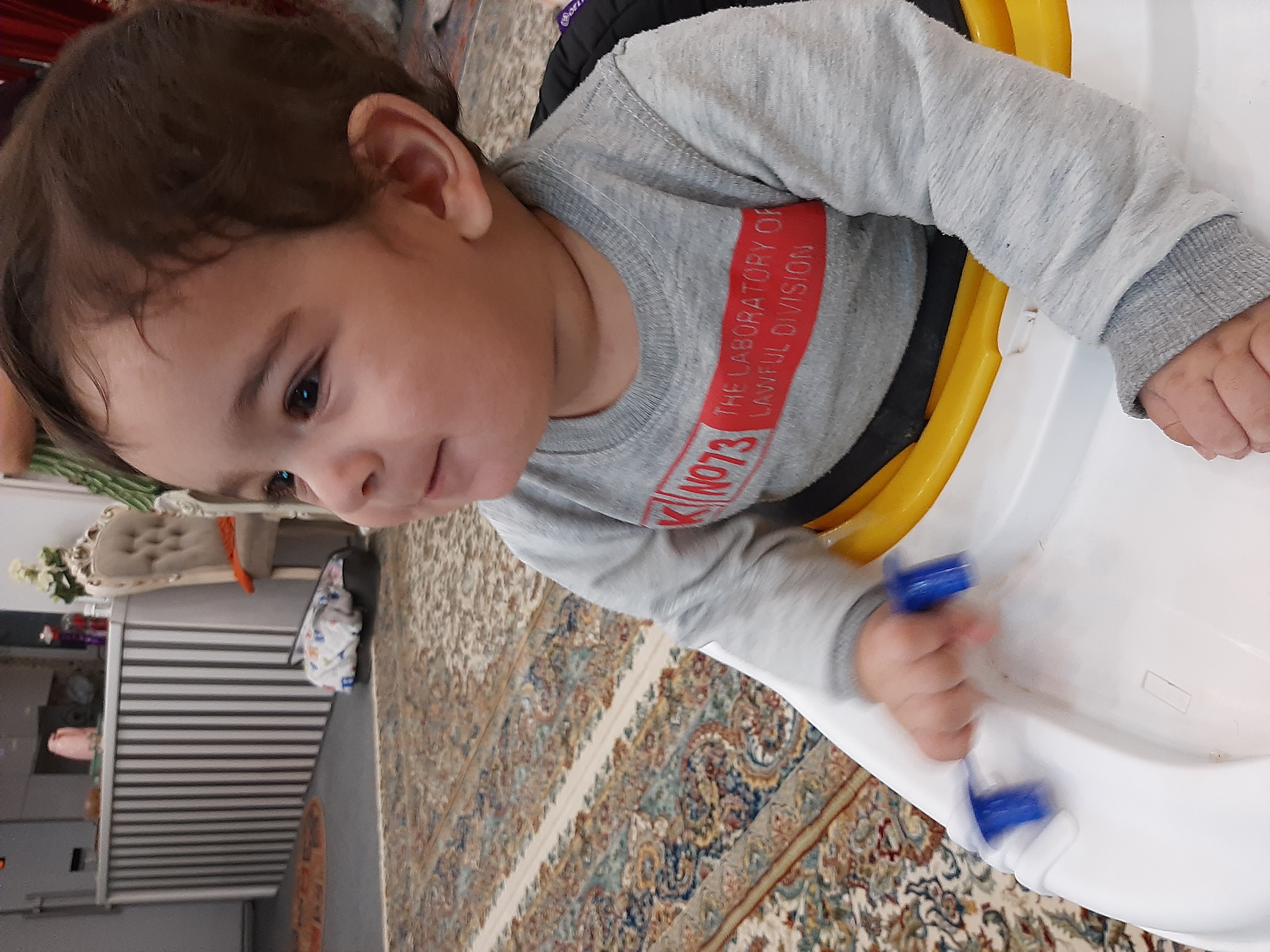 رادین