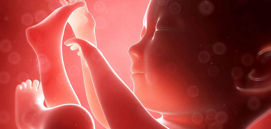 تجمل‌گرایی در سونوگرافی دوران بارداری 