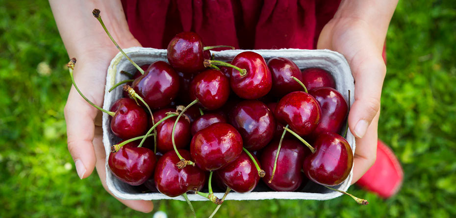 بهترین میوه های تابستانی برای زنان