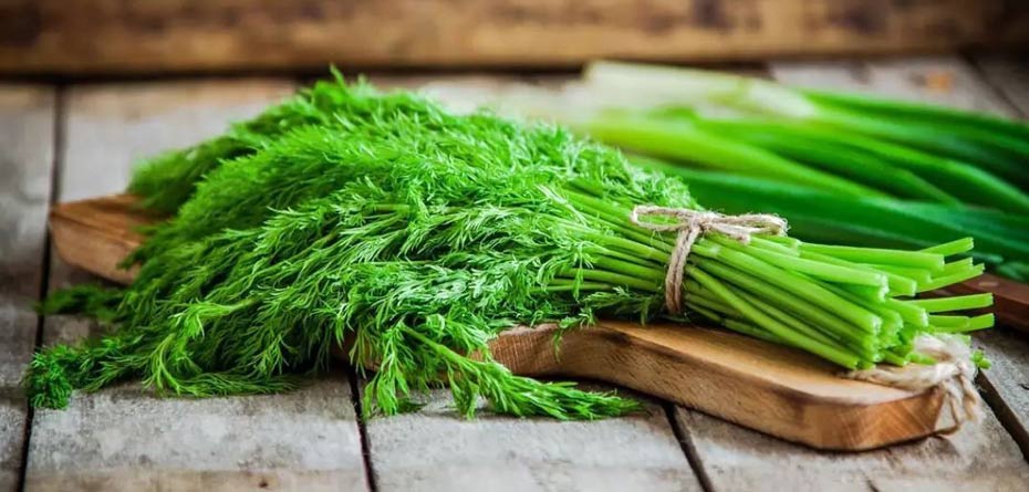 خوردن شوید در بارداری سقط جنین میآورد؟