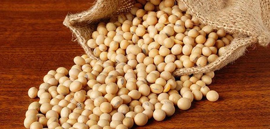 زنان برای مقابله با دیابت و بیماری قلبی سویا بخورند